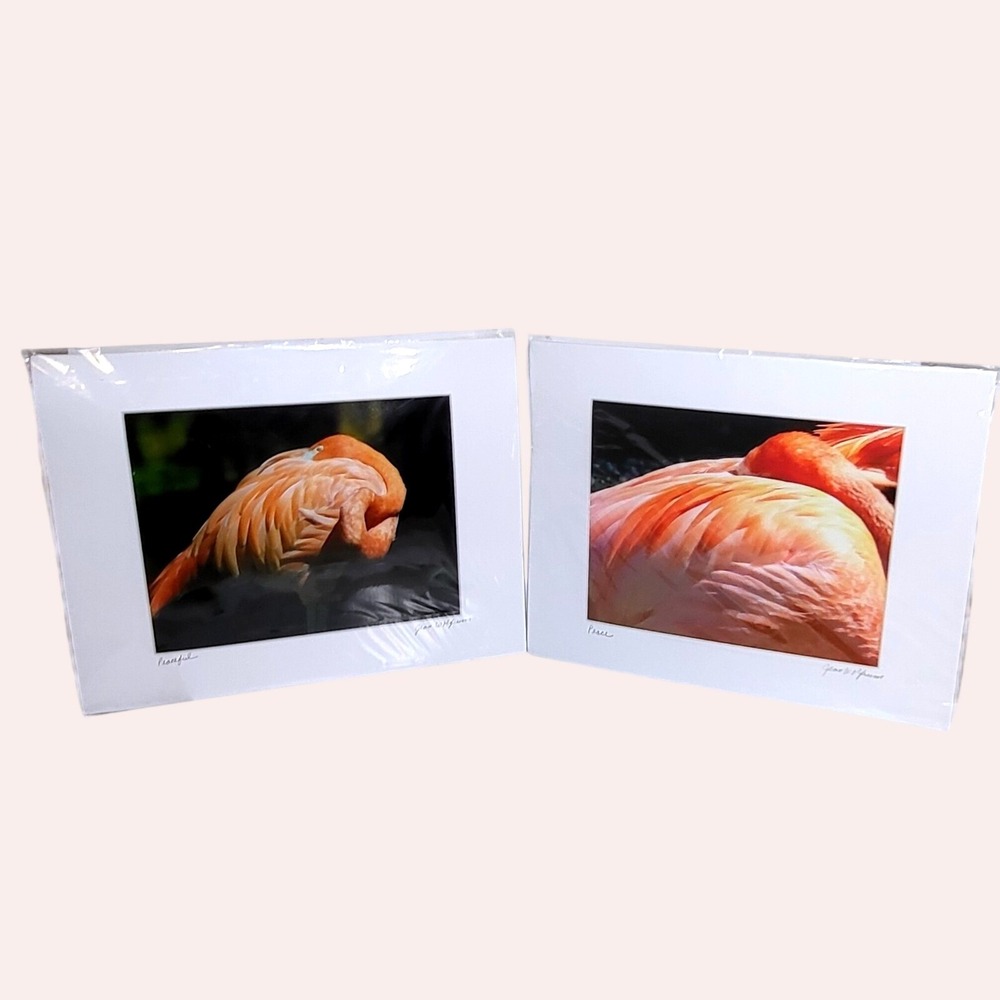 Jean Wolfrum Flamingo Photo Prints Signed Peaceful Peace 11x14 Matted Set of 2